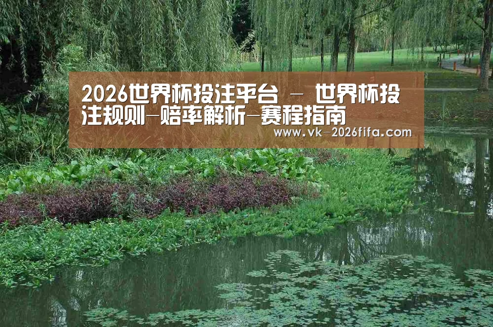 案例展示一(图1)
