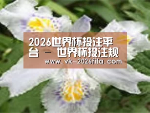 产品名称二