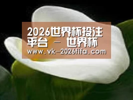 产品名称七