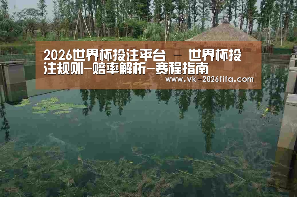 案例展示二