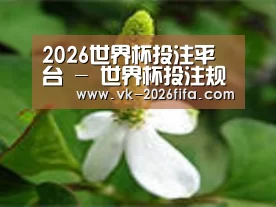 产品名称三