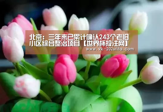 世界杯下注平台