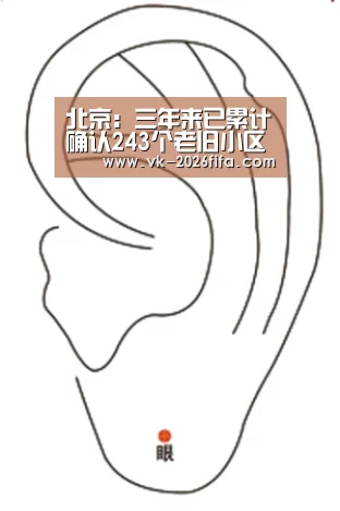 世界杯下注