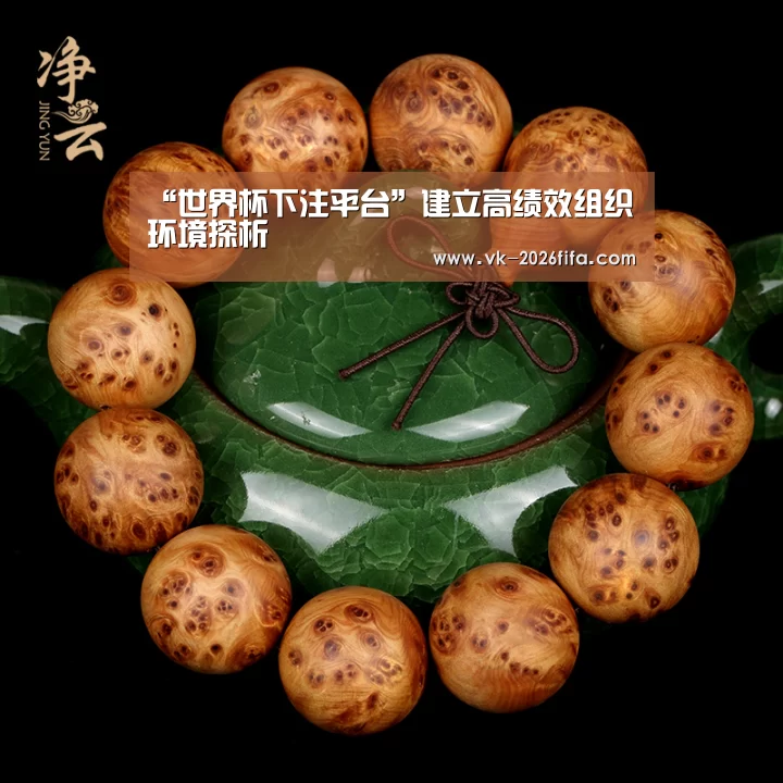 “世界杯下注平台”建立高绩效组织环境探析(图1) 世界杯投注网