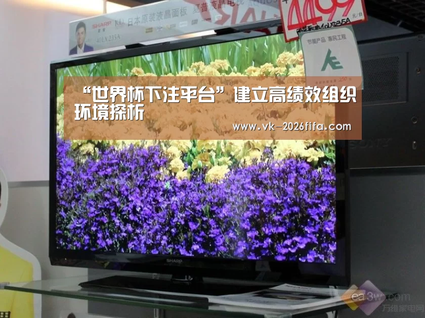 “世界杯下注平台”建立高绩效组织环境探析(图3) 世界杯投注网